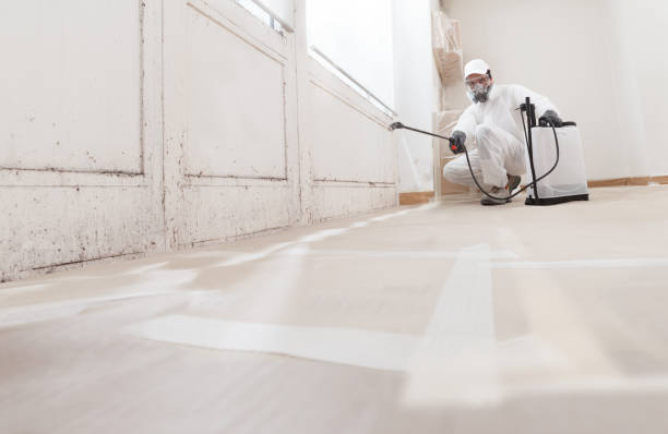24/7 Emergency Basement Mold Removal experts in Wake Forest, NC
